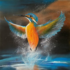 Eisvogel beim Tauchen, Eisvogel aus dem Wasser aufsteigend, breite Flügel