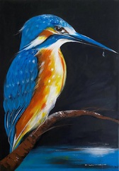 Eisvogel auf dem Ast im Wasser, sitzt am Wasser