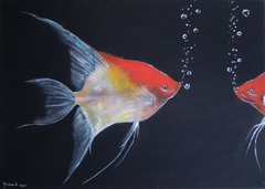 Goldfische mit Luftblasen