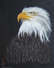 Tierwelt, Acryl Bild, Kunst Atelier, Antje Meischner, farbig