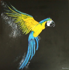 Tierwelt, Acryl Bild, Kunst Atelier, Antje Meischner, farbig