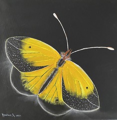 gelber schwarzer Schmetterling,Tierwelt, Acryl Bild, Kunst Atelier, Antje Meischner, farbig