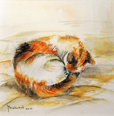 schlafende Katze, Tierwelt, Acryl Bild, Kunst Atelier, Antje Meischner, farbig